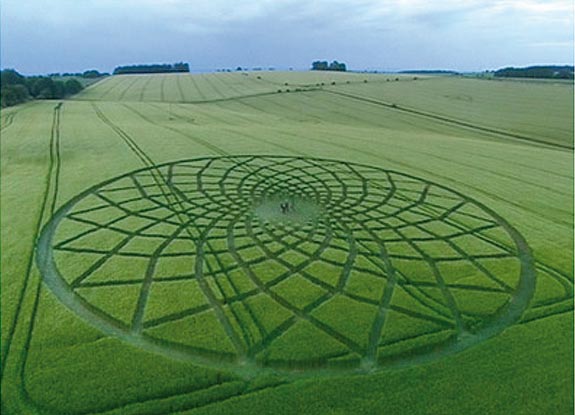 crop circle at Farnborough |  June 2005