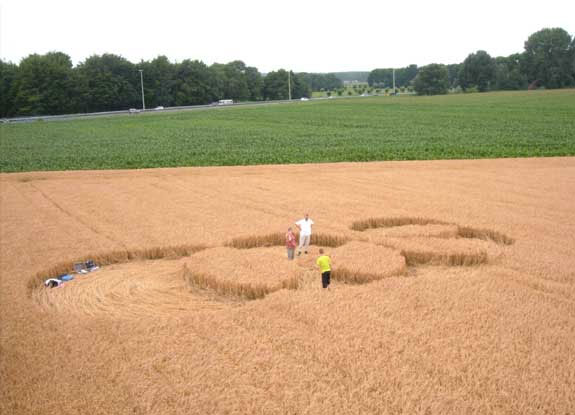 crop circle at Veenendaal |  July 17 2005