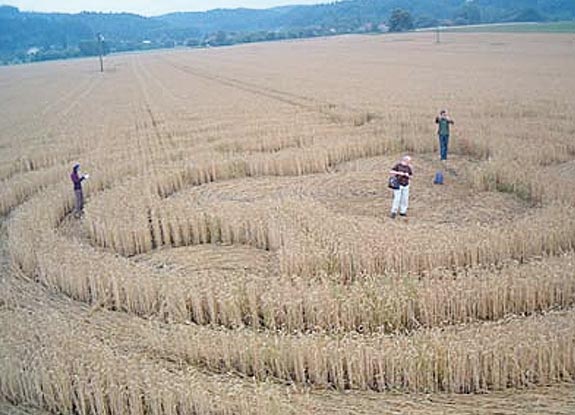 crop circle at Honsob | June 27 2007