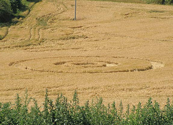 crop circle at Pumlow | July 07 2008