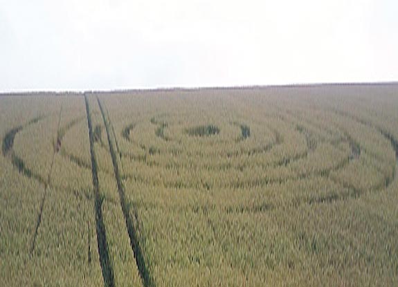 crop circle at High Kingthorpe | July 29 2008