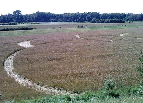 crop circle at Stryszawa| July 17 2009