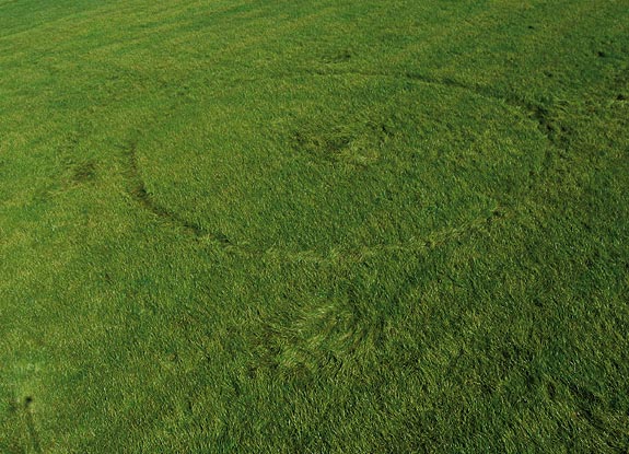 crop circle at Hoeven | August 08 2009