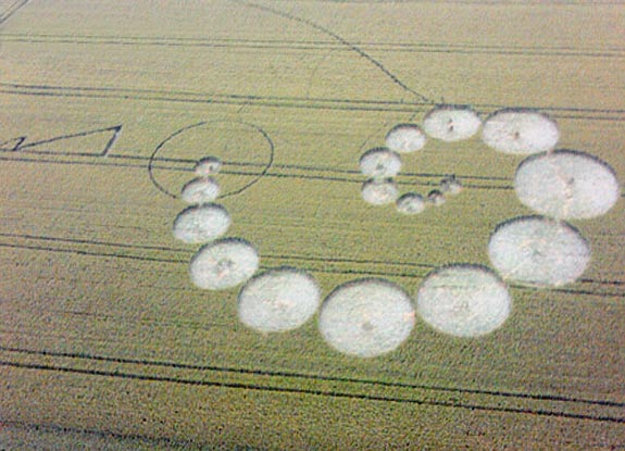 crop circle at Basiano | May 28 2010