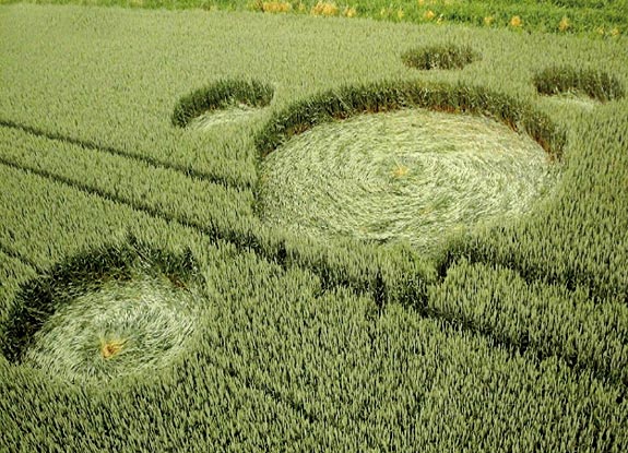 crop circle at Hoeven | June 26 2011