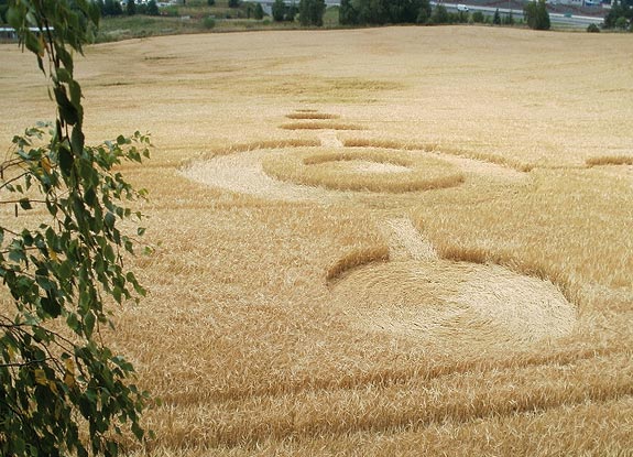crop circle at Velky Mezirici | July 12 2011