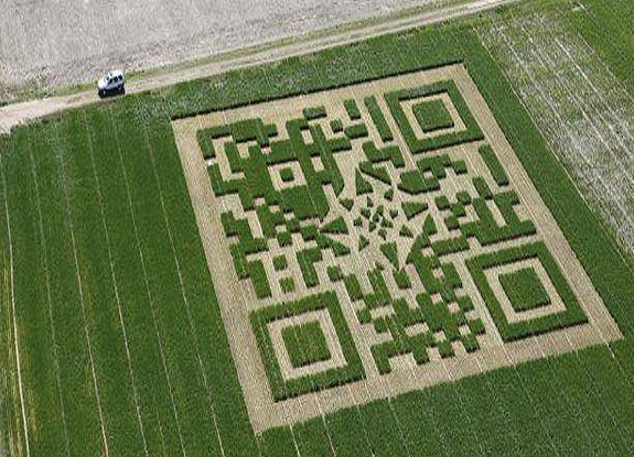 crop circle at Kansas | April 01 2012