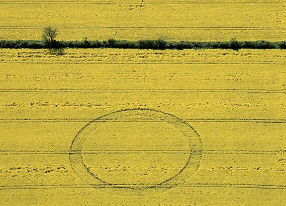 crop circle at Hannington | May 13 2012