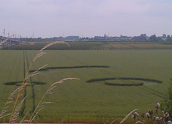 crop circle at Zevenbergschen Hoek | July 11 2012
