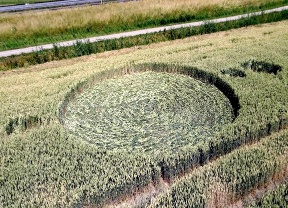 crop circle at Hoeven | July 21 2013