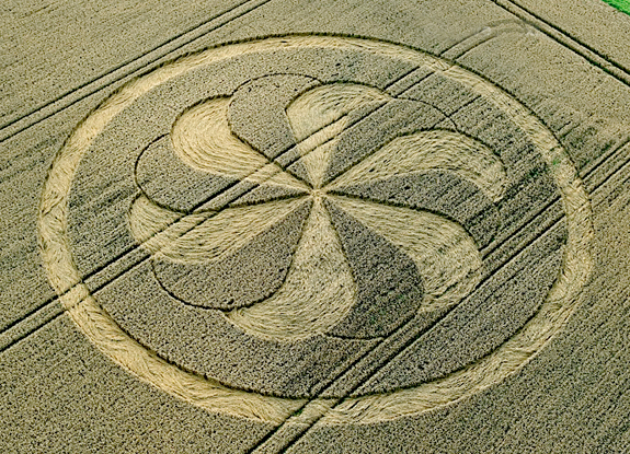 crop circle at Marden Henge | August 23 2013