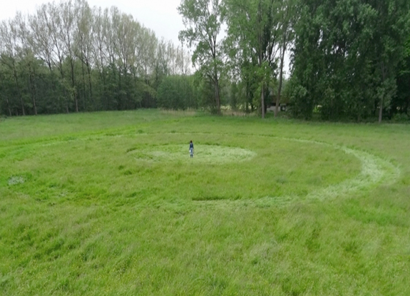 crop circle at Etten-Leur | May 08 2014