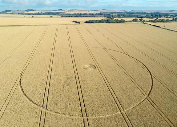 crop circle at Etchilhampton | August 12 2014