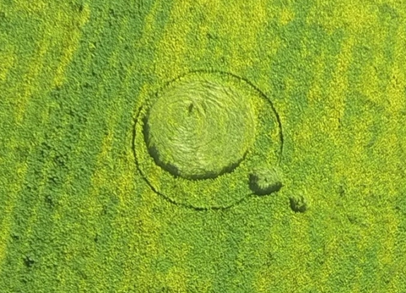 crop circle at Hoeven | October 3 2014