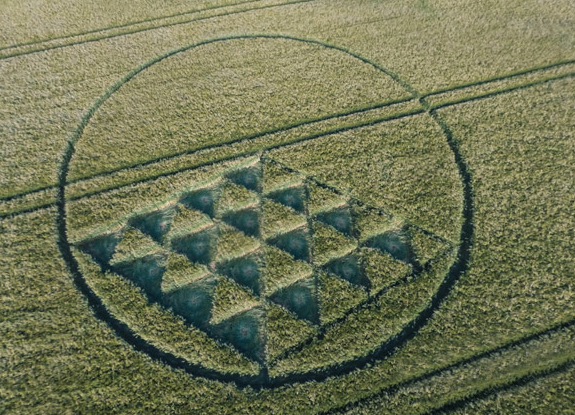 crop circle at Merstham | June 16 2015