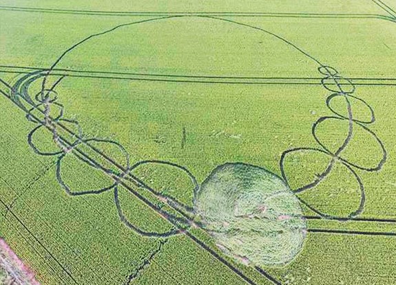 crop circle at Danebury Rings | June 30 2016