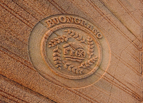 crop circle at Monteroni d'Arbia | July 13 2016