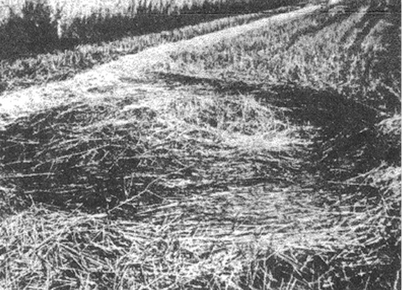 crop circle at Rossburn | September 04 1977