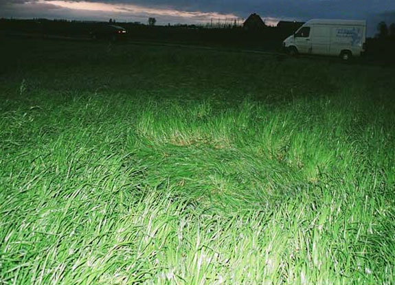 crop circle at Hoeven |  April 6 2005