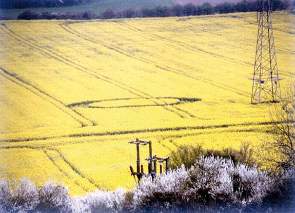 crop circle at Ringmer |  April 23 2005