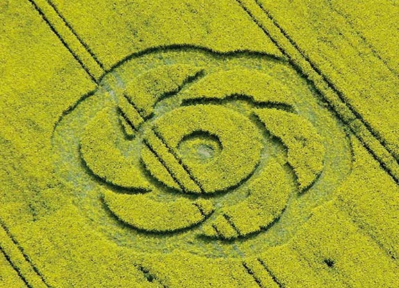 crop circle at Alton Barnes |  May 01 2005