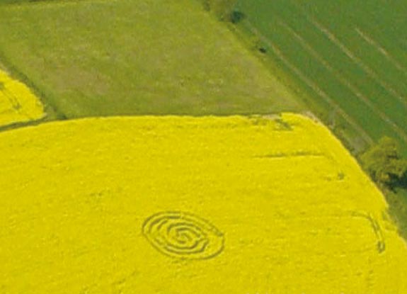 crop circle at Garsington |  May 03 2005