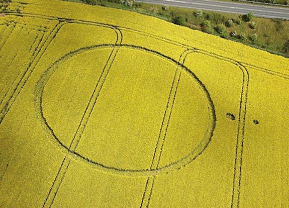 crop circle at Bishop Sutton |  May 09 2005