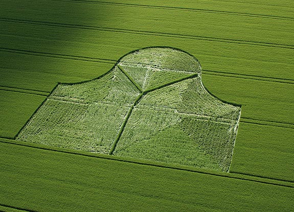 crop circle at Milk Hill |  May 29 2005