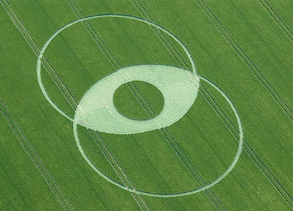 crop circle at Milk Hill |  June 11 2005