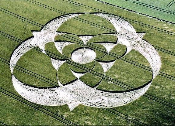 crop circle at Clatford Bottom |  June 12 2005