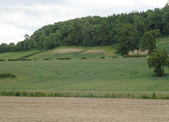 crop circle at Stantonbury Hill |  June 12 2005