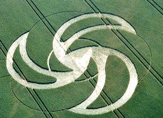 crop circle at Maidstone |  June 19 2005