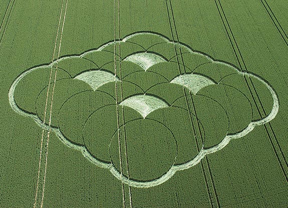 crop circle at Monkton Down |  June 20 2005