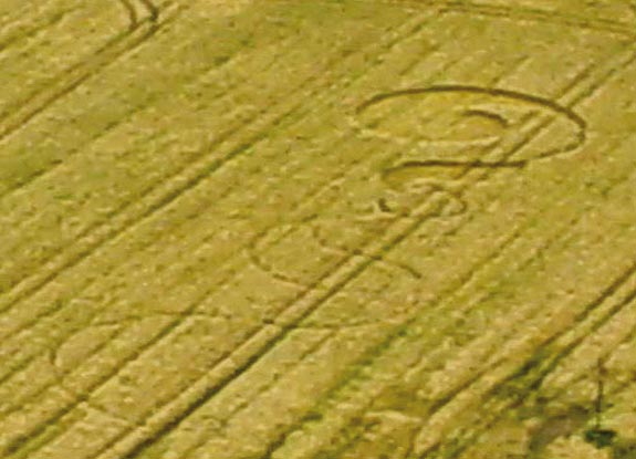 crop circle at Toot Baldon |  June 21 2005