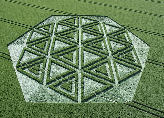 crop circle at Avebury Trusloe |  June 23 2005