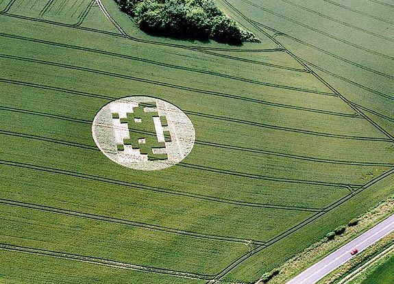 crop circle at Telegraph Hill |  June 24 2005