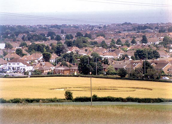 crop circle at Sompting |  June 26 2005