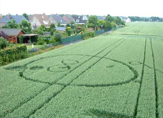 crop circle at Hoeven | June 30 2005