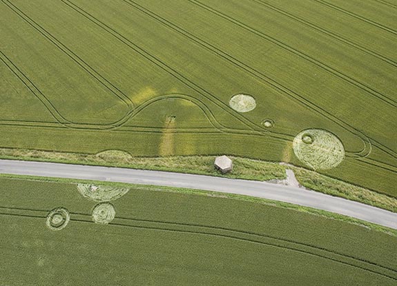 crop circle at Devizes |  July 03 2005