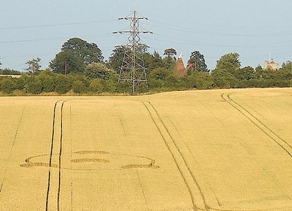 crop circle at Meopham |  July 06 2005