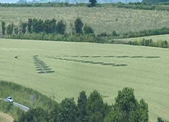crop circle at Clays End |  July 10 2005