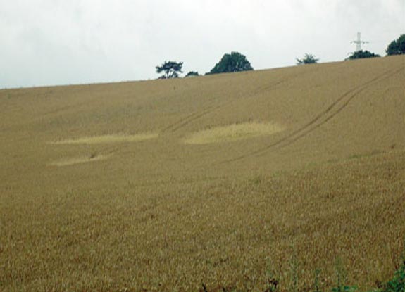 crop circle at Rickmansworth |  July 10 2005