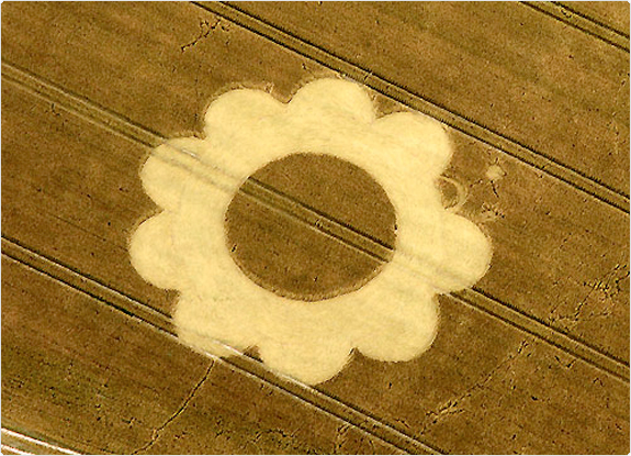 crop circle at Droxford |  July 17 2005