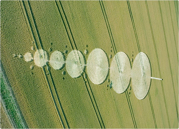 crop circle at Alton Barnes |  July 18 2005