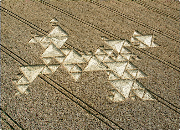 crop circle at Savernake Forest |  July 19 2005