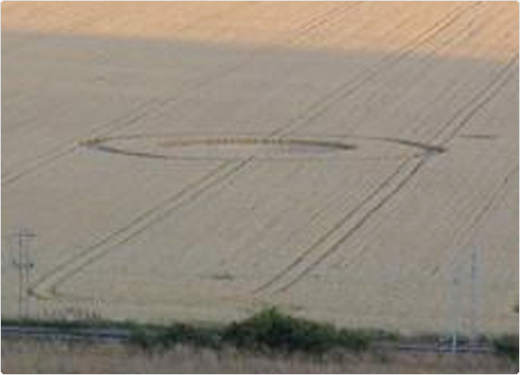 crop circle at Southend-on-Sea |  July 19 2005