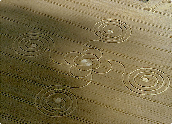 crop circle at Chalgrove |  July 22 2005