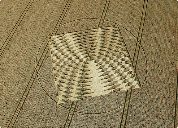 crop circle at Aldbourne |  July 24 2005