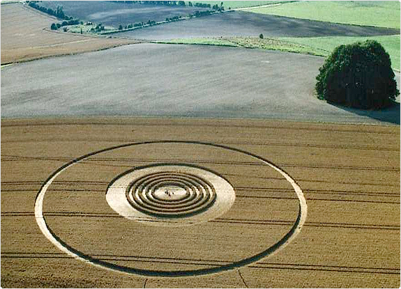 crop circle at Avebury |  July 31 2005