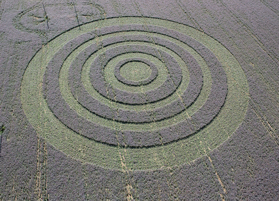crop circle at Ludgershall |  August 03 2005